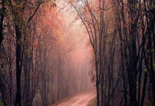 手机外围下载 -南网科技招标结果：2026年智慧管理单元定制化生产框架采购中标公告