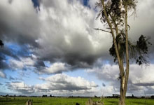 手机外围下载 -从“媒介”到“语言”——谈中国当代油画的文化自觉