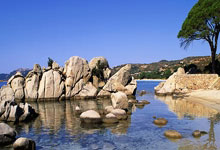 手机外围下载 -从“媒介”到“语言”——谈中国当代油画的文化自觉