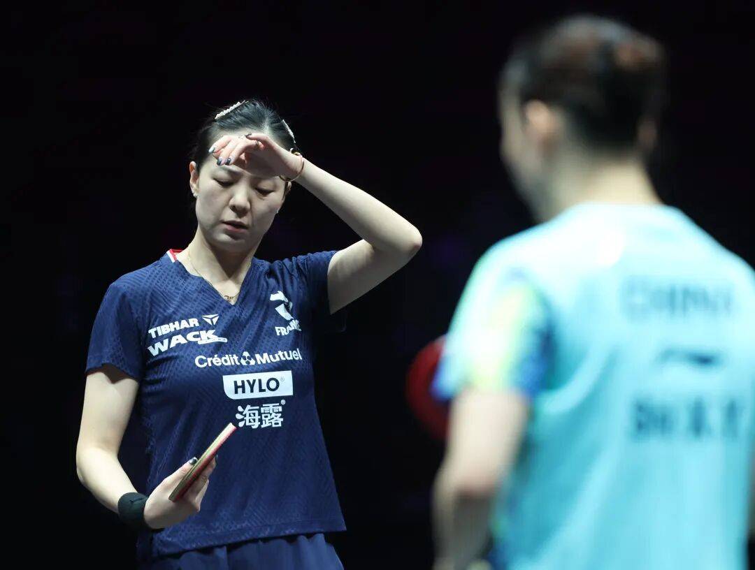 王楚钦零封格罗特，王艺迪胜汉娜 | 重庆冠军赛